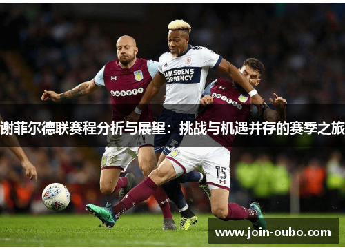 谢菲尔德联赛程分析与展望:挑战与机遇并存的赛季之旅 谢菲尔德联赛程分析与展望:挑战与机遇并存的赛季之旅